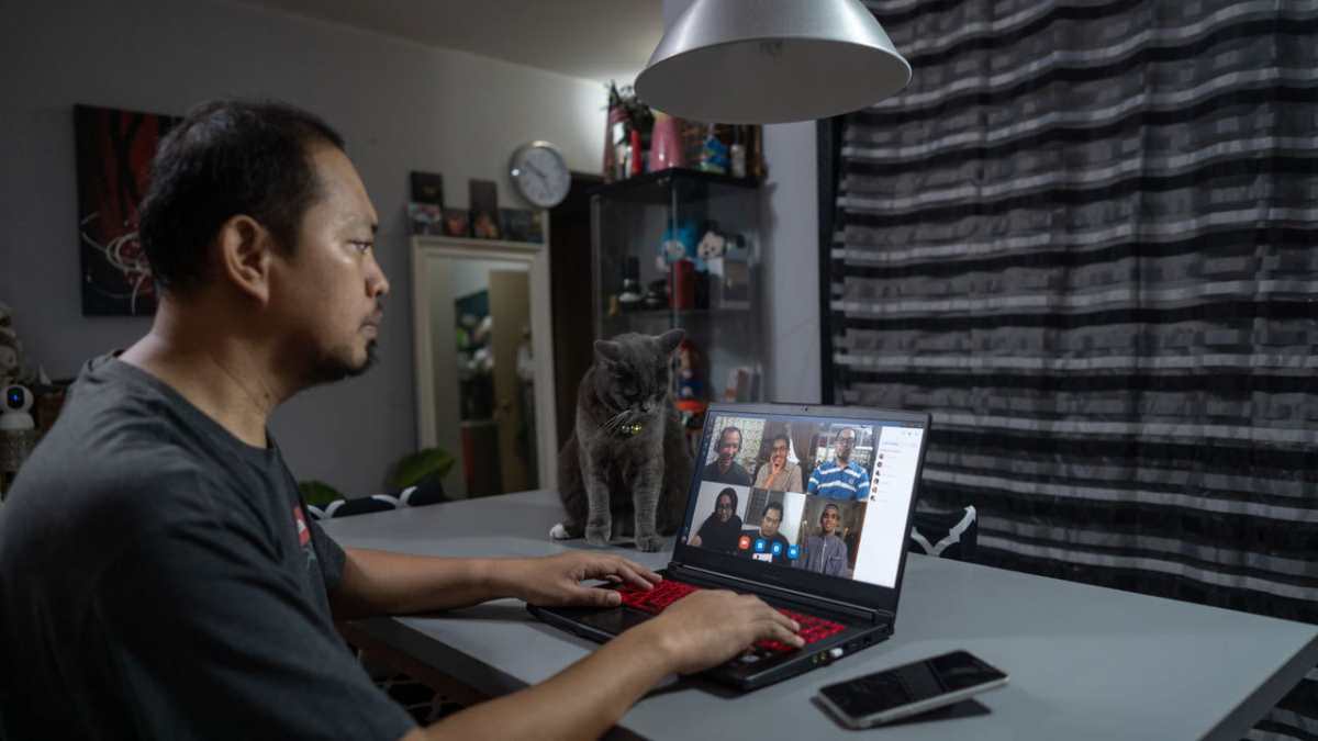 Asian man working remotely on a laptop video call from home with a cat nearby.